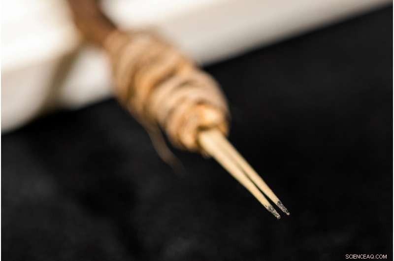 WSU Archaeologists Uncover 2,000-Year-Old Cactus Spine Tattoo Tool, Earliest Known in Western North America