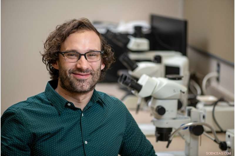 WSU Archaeologists Uncover 2,000-Year-Old Cactus Spine Tattoo Tool, Earliest Known in Western North America