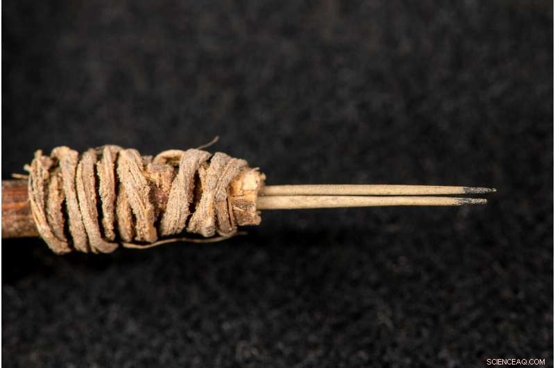 WSU Archaeologists Uncover 2,000-Year-Old Cactus Spine Tattoo Tool, Earliest Known in Western North America