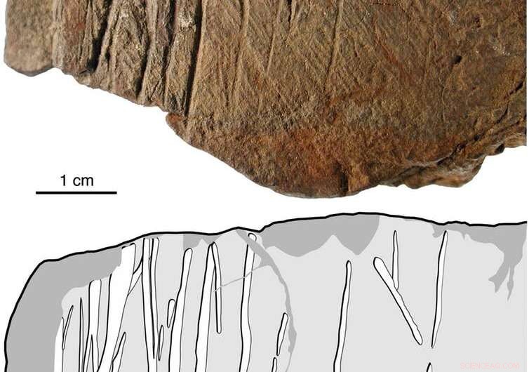 The Neuroscience Behind the Sudden Rise of Reading and Writing