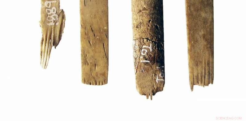 Ancient Tongan Tattooing Toolkit Discovered—Includes Earliest Human-Bone Implements