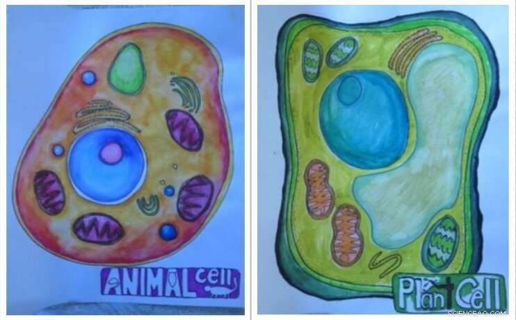 Study Shows Arts Boost Science Understanding for Struggling Students