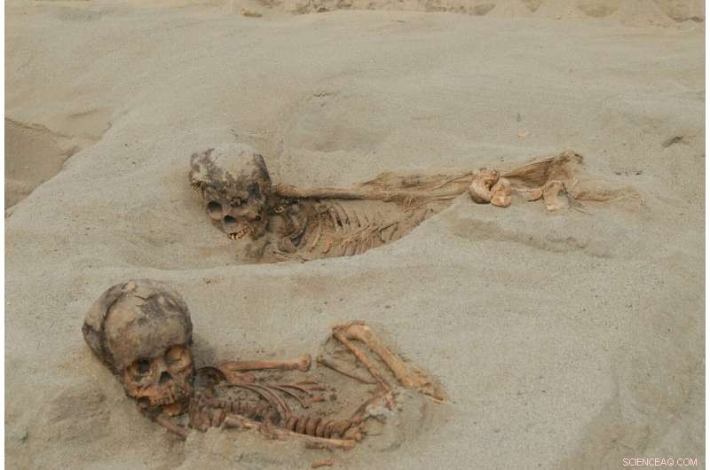 Archaeologists Reveal Mass Child Sacrifice in Peru: 140+ Hearts Removed