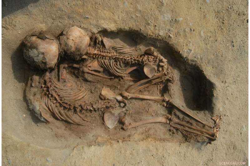 Archaeologists Reveal Mass Child Sacrifice in Peru: 140+ Hearts Removed
