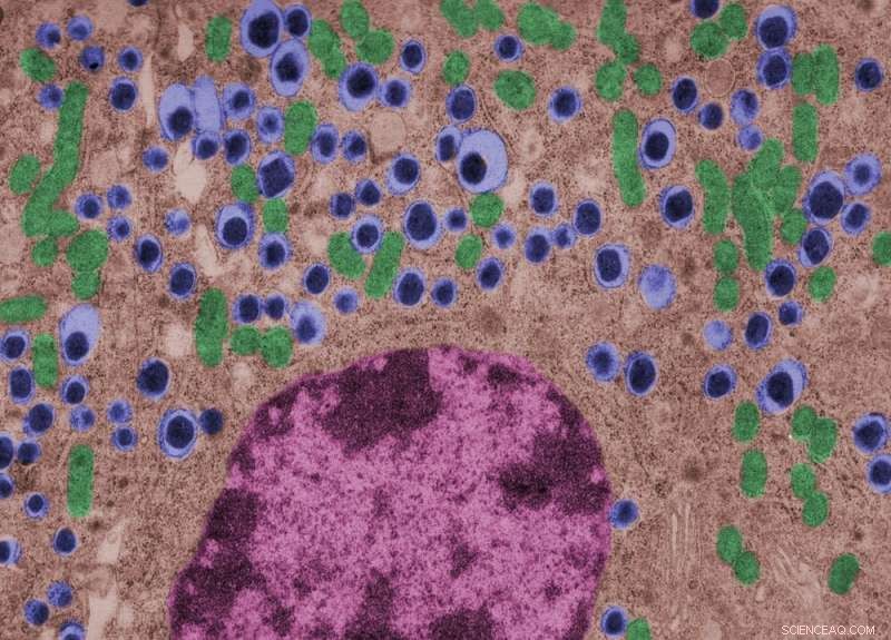 Closing the Gender Gap in Life Sciences: A Persistent Challenge for Progress