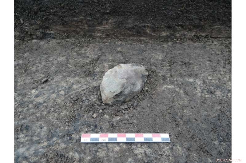 Groundbreaking Research Shows Giant Sloth Extinct Before Holocene