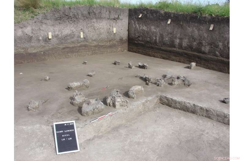 Groundbreaking Research Shows Giant Sloth Extinct Before Holocene