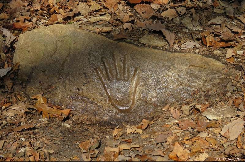 Preserving Heritage: 3D Documentation of Ancient Petroglyphs