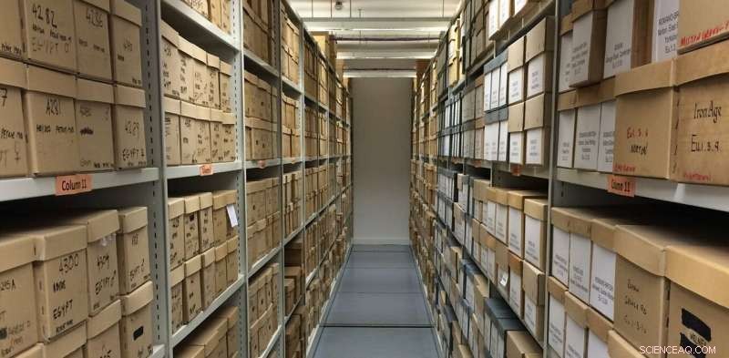 Unlocking History: How Ancient DNA and Collaborative Research Reveal the Past