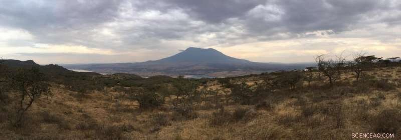 Unlocking History: How Ancient DNA and Collaborative Research Reveal the Past