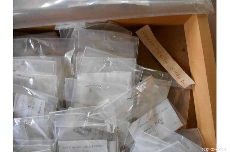 Unlocking History: How Ancient DNA and Collaborative Research Reveal the Past