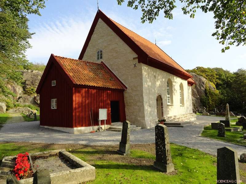 Reviving Artisanal Mortar: Modern Techniques for Historic Wall Restoration