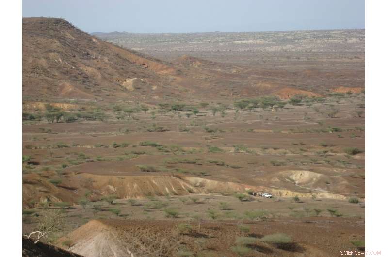 New Kenyan Fossil Teeth Illuminate 6-Million-Year Gap in Old World Monkey Evolution