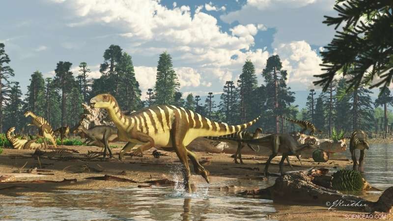 Galleonosaurus dorisae: Wallaby‑Sized Dinosaur Revealed in Australia’s Ancient Rift Valley