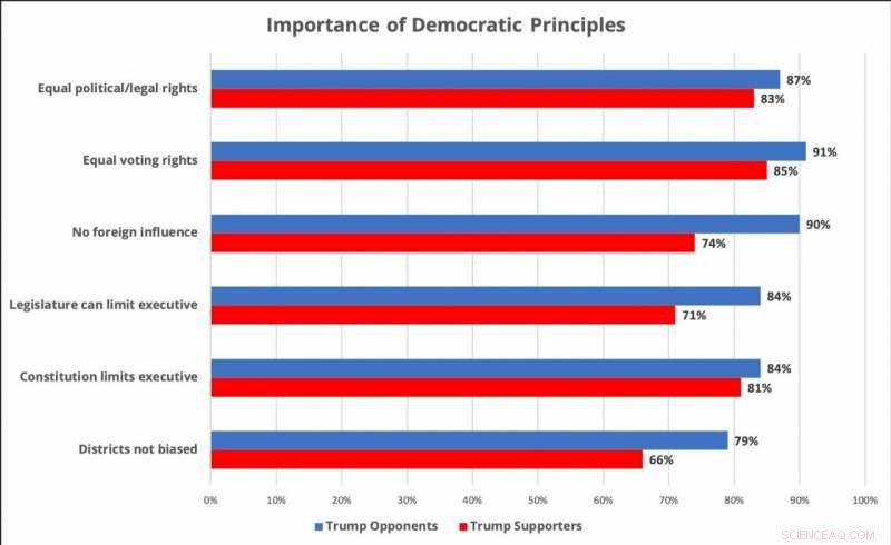 Monitoring Democratic Priorities in the Trump Era: Bright Line Survey Insights