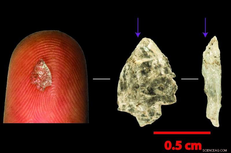 From Stone Age Flakes to Microchips: How Tiny Tools Shaped Human Evolution