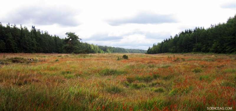 Agricultural Lime Skews Strontium Isotope Maps, Compromising Archaeological Provenance Studies