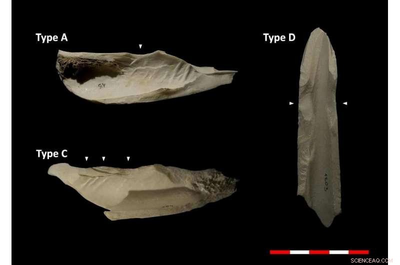Using AI to Decode Faunal Assemblages in Archaeological Sites