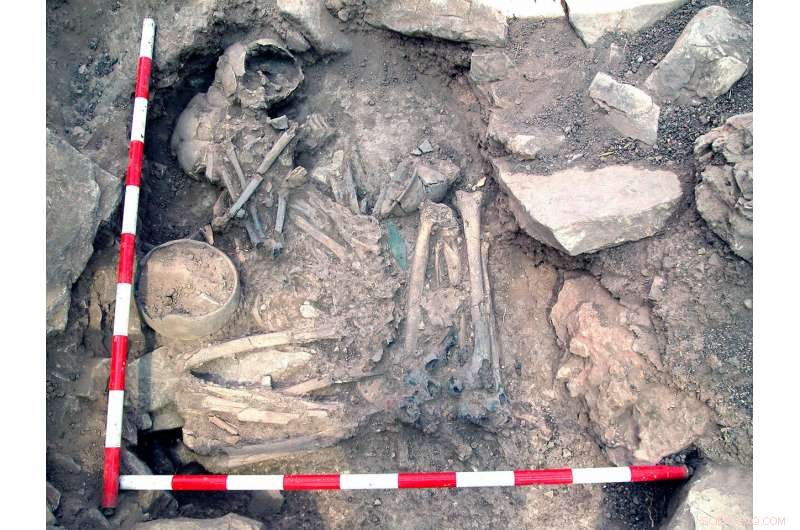 Ancient DNA Reveals Iberian Peninsula s 8,000-Year Genetic Journey