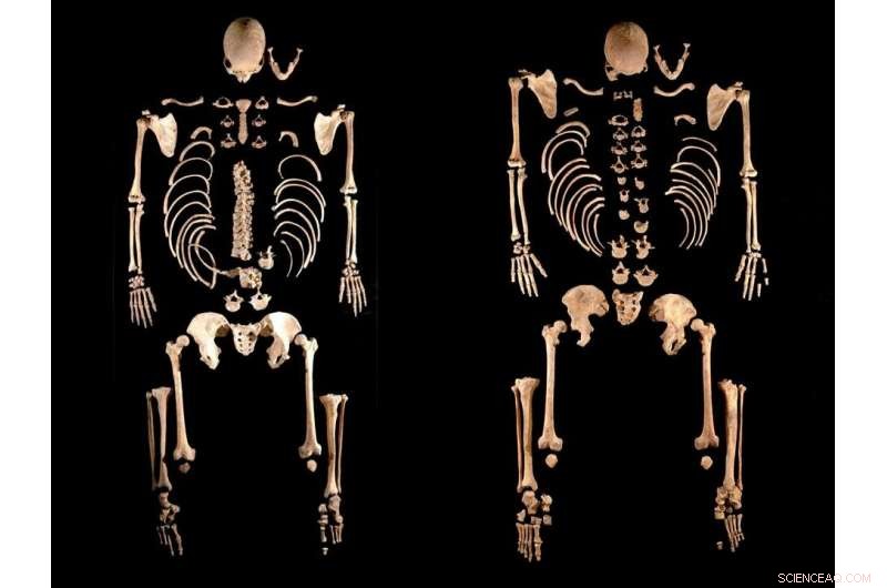 Ancient DNA Reveals Iberian Peninsula s 8,000-Year Genetic Journey
