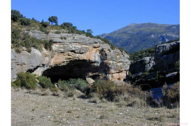 Ancient DNA Reveals Iberian Peninsula s 8,000-Year Genetic Journey