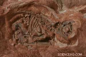 Unveiling Dinosaur Evolution: Insights from the World s Oldest Eggs