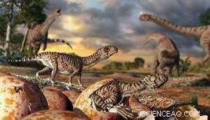 Unveiling Dinosaur Evolution: Insights from the World s Oldest Eggs