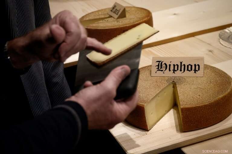 Study Finds Music Alters the Flavor of Emmental Cheese