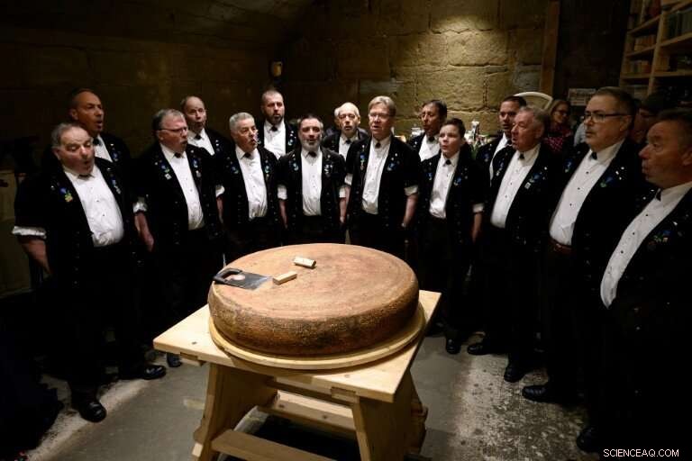 Study Finds Music Alters the Flavor of Emmental Cheese