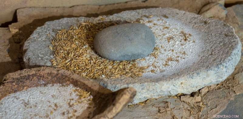 How Softer, Processed Foods Influenced the Evolution of Ancient Human Speech