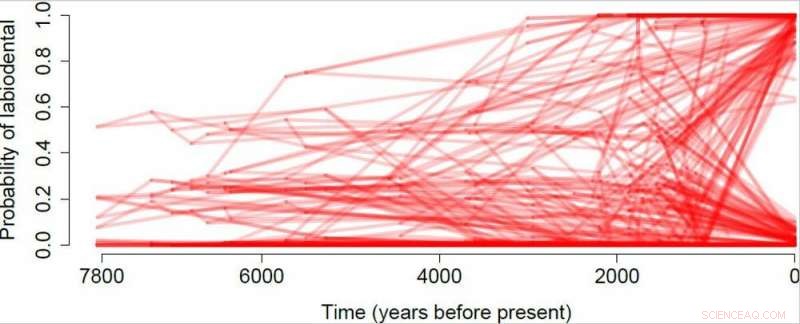 How Softer, Processed Foods Influenced the Evolution of Ancient Human Speech