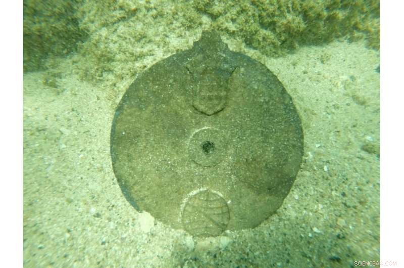 Guinness Records Recognize Portuguese Armada Astrolabe as World’s Oldest – A Historic Discovery