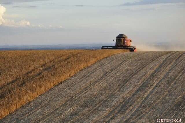 Study Reveals Republican‑leaning Counties Suffer Most from Foreign Tariff Retaliation