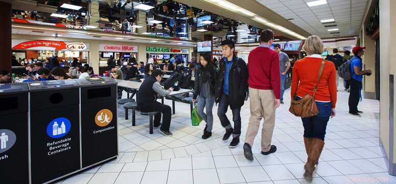 New Study Reveals Up to 70,000 Canadian Students Experience Homelessness on Campus