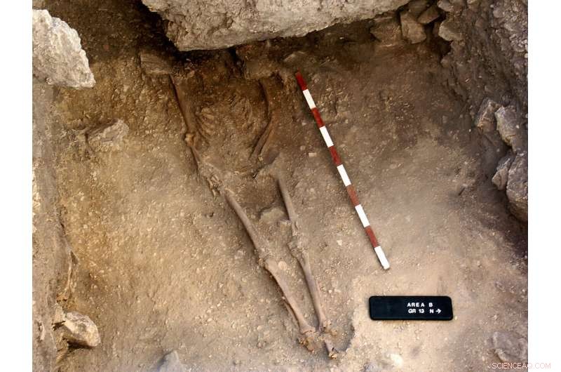 Anatolian Farmers Evolved from Local Hunter‑Gatherers: 15,000‑Year‑Old Genome Reveals Early Agriculture