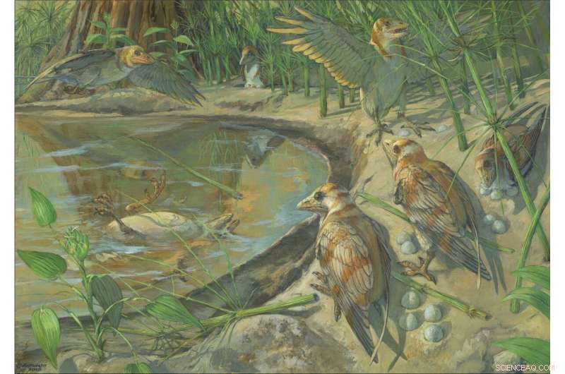 Cretaceous Fossil Reveals First Preserved Bird Egg Inside Body, Illuminating Avian Reproduction