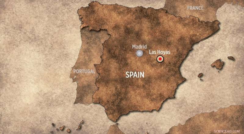 125-Million-Year-Old Bird Hatchling Running Immediately After Hatching