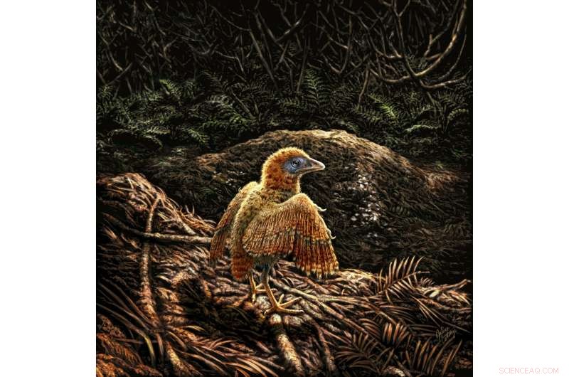 125-Million-Year-Old Bird Hatchling Running Immediately After Hatching