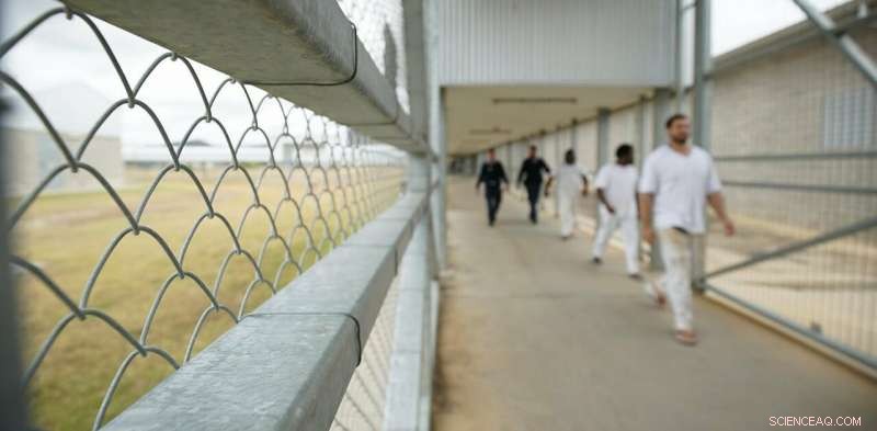 Inside Prison Crime: Trends, Age Factors, and Reform Insights