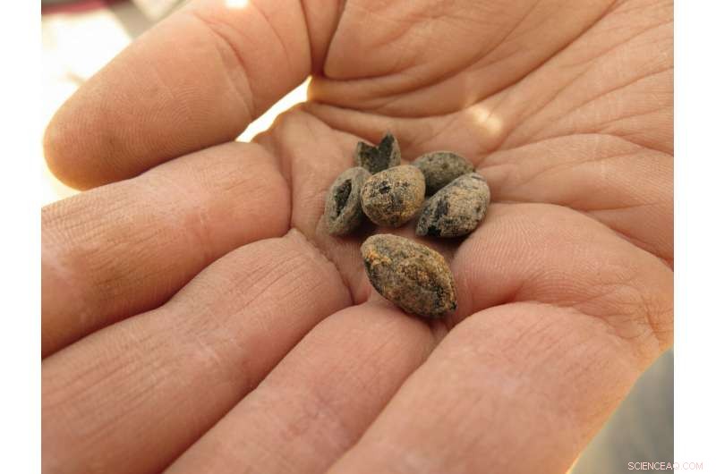 Trash Mounds Reveal Climate Change’s Role in Byzantine Empire’s Decline