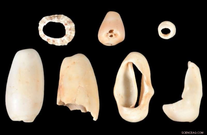 Archaeological Evidence Shows 5th‑Century Caribbean Children Foraging for Shellfish