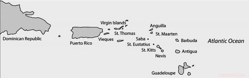 Archaeological Evidence Shows 5th‑Century Caribbean Children Foraging for Shellfish