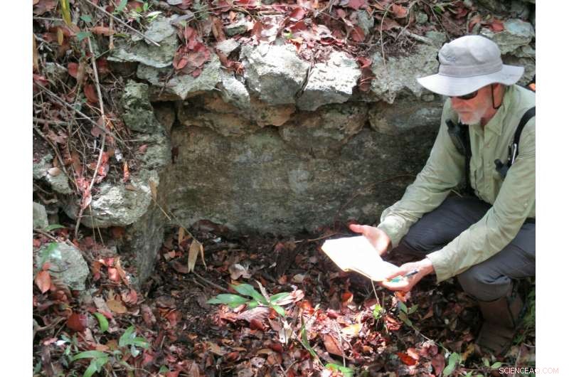 Ancient Maya Farms Discovered in Mexican Wetlands: Evidence of Surplus Agriculture and Trade