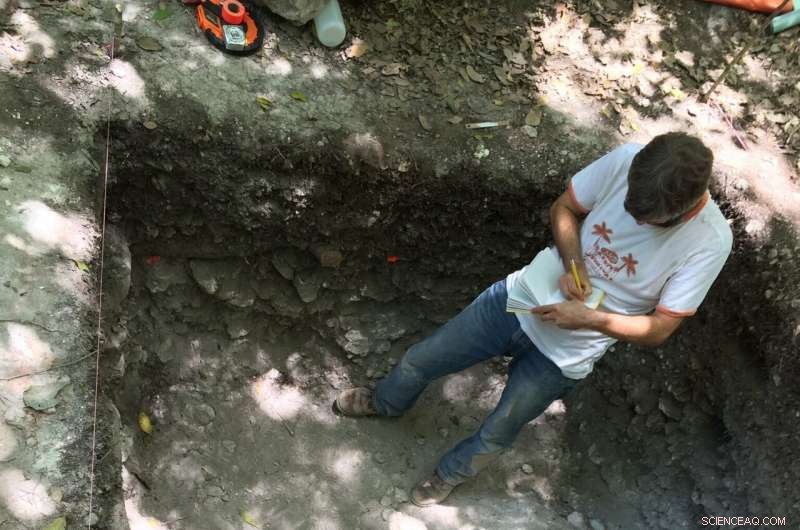 Ancient Maya Farms Discovered in Mexican Wetlands: Evidence of Surplus Agriculture and Trade