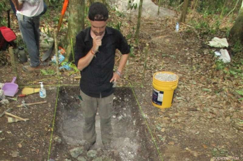 Ancient Maya Farms Discovered in Mexican Wetlands: Evidence of Surplus Agriculture and Trade