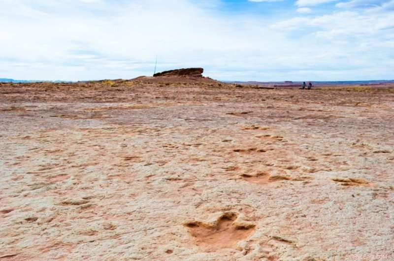 How Earth’s System Collapse Killed Dinosaurs—and Why We Might Face a Similar Threat