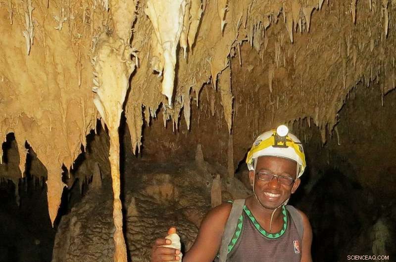 The Vanishing Giants: Unraveling the 1,000-Year Decline of Madagascar s Megafauna