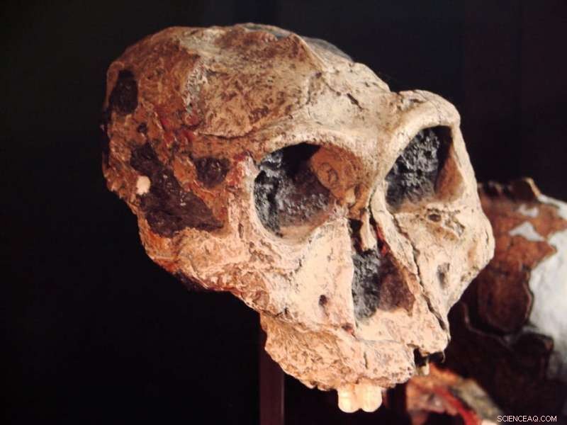 Uncovering the Earliest Common Genetic Disorder in Human Evolution