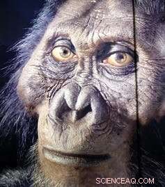 Uncovering the Earliest Common Genetic Disorder in Human Evolution