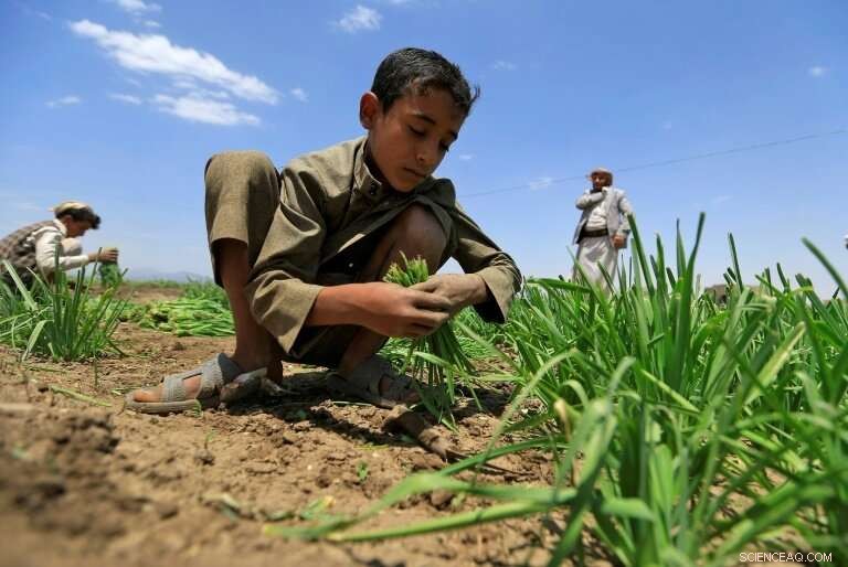 UN Reports Over 113 Million People Worldwide Struggling with Acute Hunger